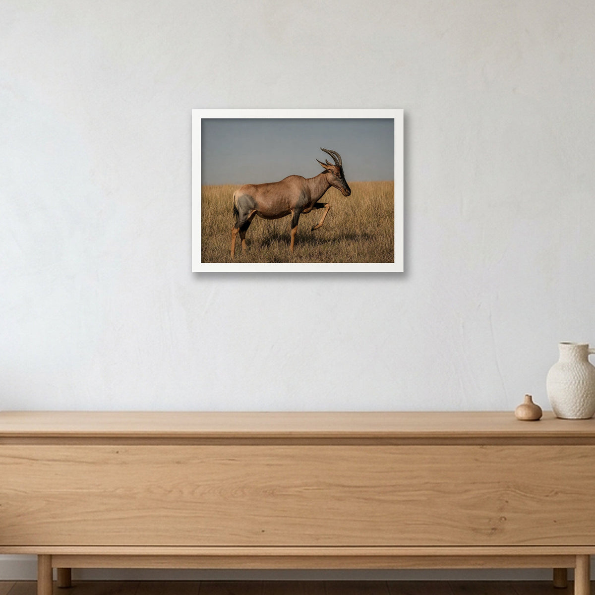 Animal Kingdom #3 — 40×30cm, 16×12" White Frame
