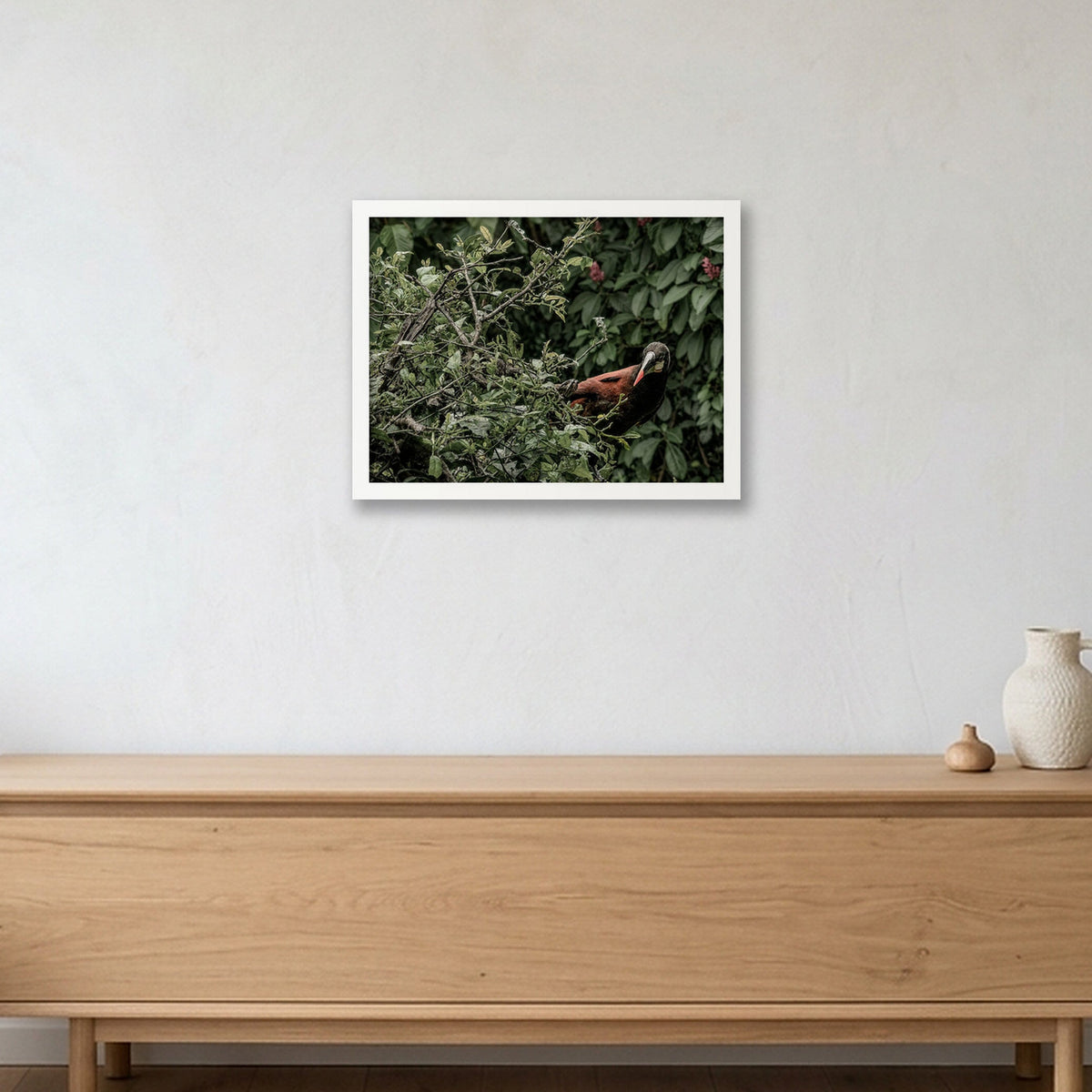 Animal Kingdom #12 — 40×30cm, 16×12" White Frame