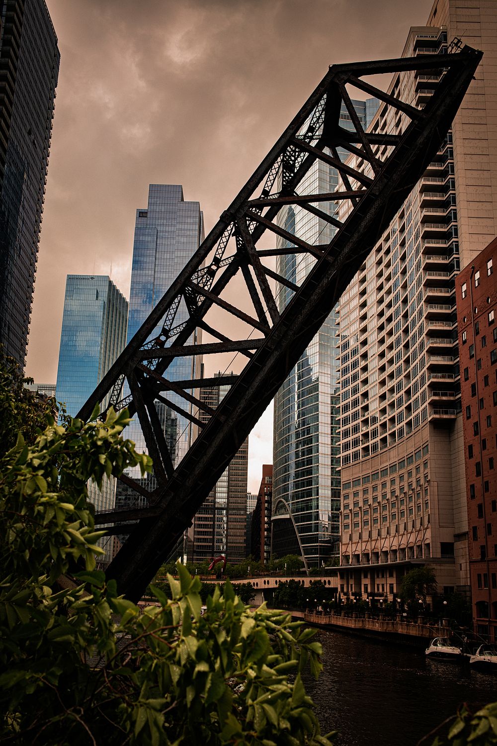 Chicago #8