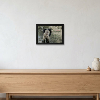 Animal Kingdom #9 — A4 (30×21cm, 12×8") Black Frame
