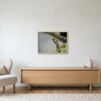 Animal Kingdom #15 — 59×42cm, 23×17" Oak Frame