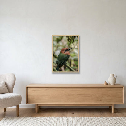 Animal Kingdom #11 — 42×59cm, 17×23" Oak Frame