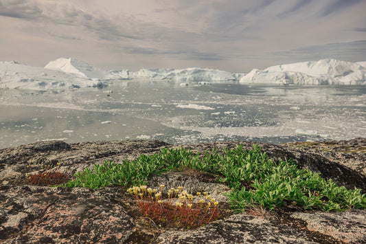 Ilulissat Landscape #5