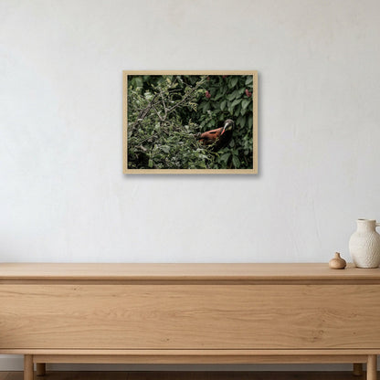 Animal Kingdom #12 — 40×30cm, 16×12" Oak Frame
