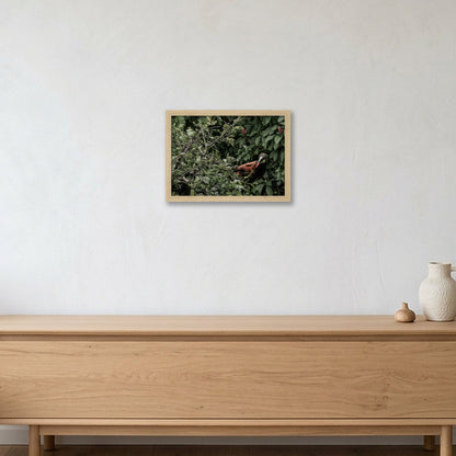 Animal Kingdom #12 — A4 (30×21cm, 12×8") Oak Frame