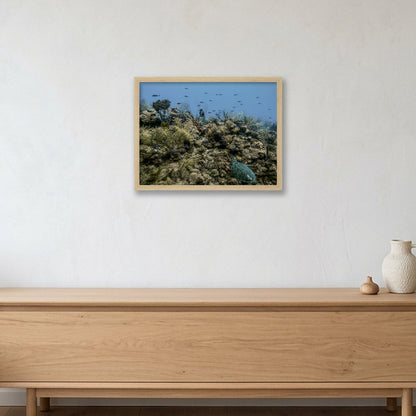Animal Kingdom #16 — 40×30cm, 16×12" Oak Frame