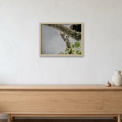 Animal Kingdom #15 — 40×30cm, 16×12" Oak Frame