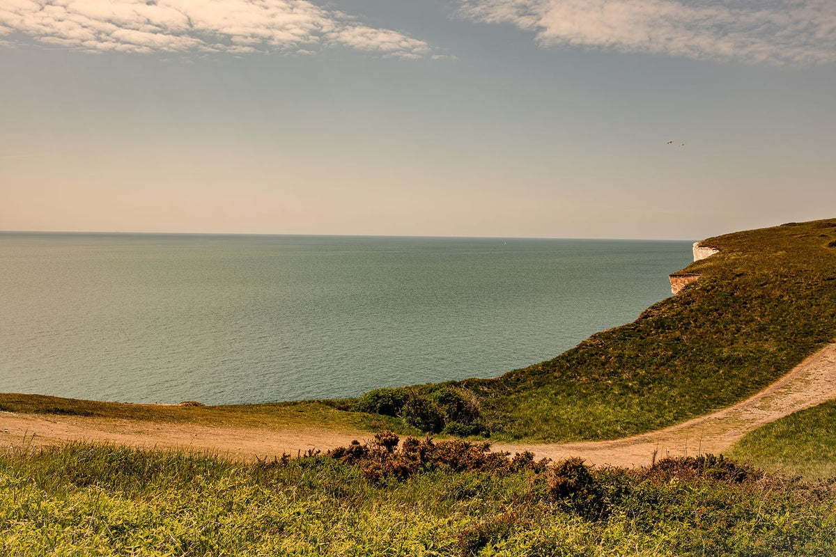 Seven Sisters #8