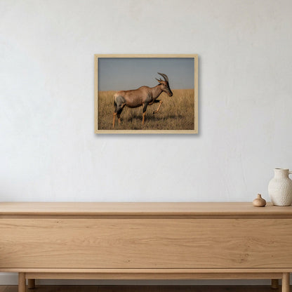 Animal Kingdom #3 — 40×30cm, 16×12" Oak Frame