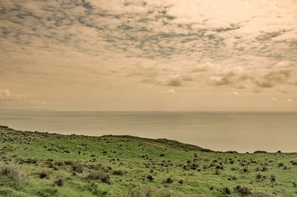 Seven Sisters #1