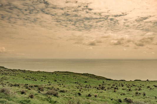Seven Sisters #1