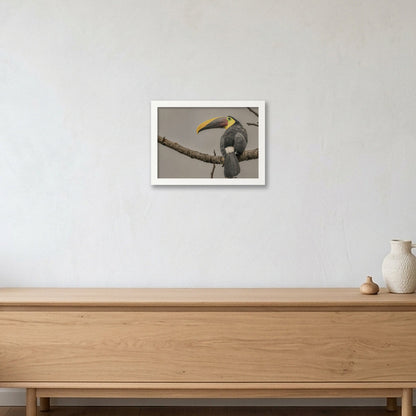 Animal Kingdom #13 — A4 (30×21cm, 12×8") White Frame