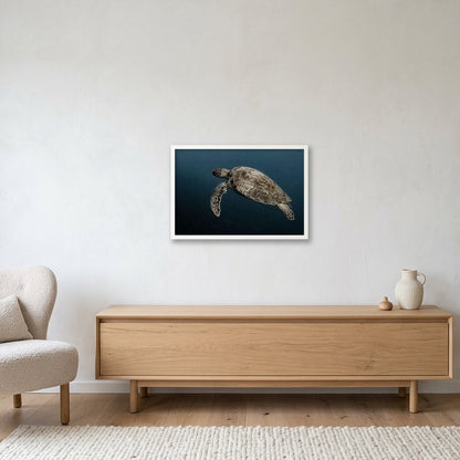 Animal Kingdom #1 — 60×40cm, 24×16" White Frame