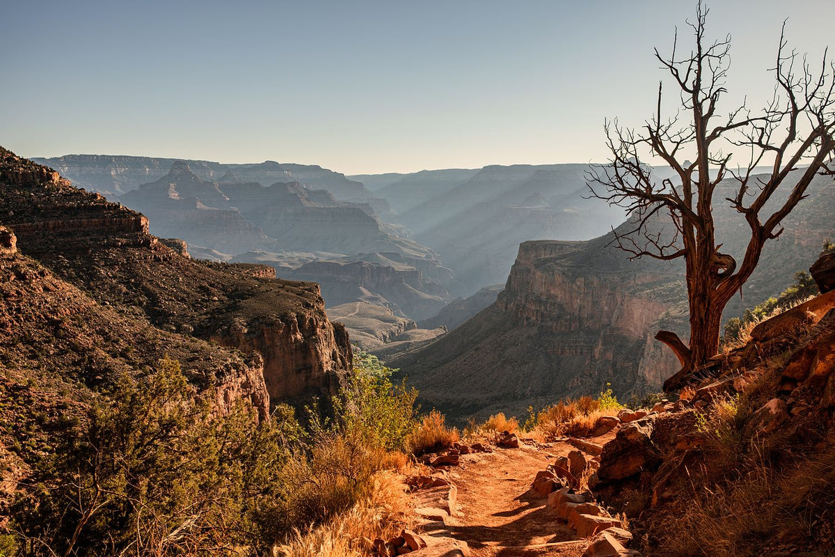 Grand Canyon #18