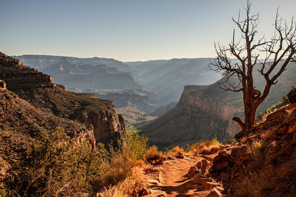 Grand Canyon #18