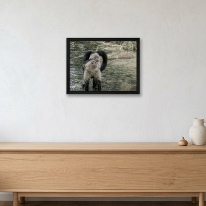 Animal Kingdom #9 — 40×30cm, 16×12" Black Frame