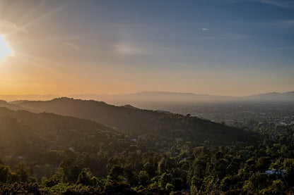 Los Angeles #7