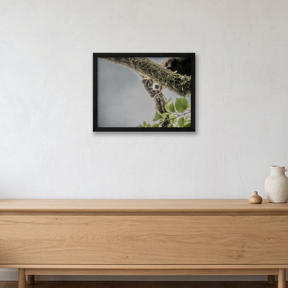 Animal Kingdom #15 — 40×30cm, 16×12" Black Frame
