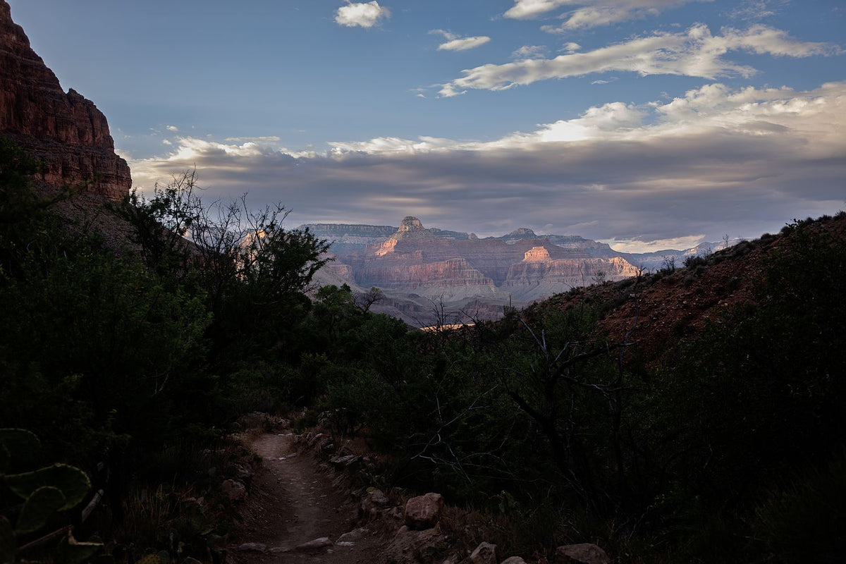 Grand Canyon #8