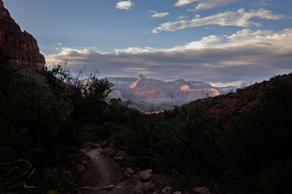 Grand Canyon #8