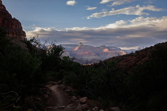 Grand Canyon #8