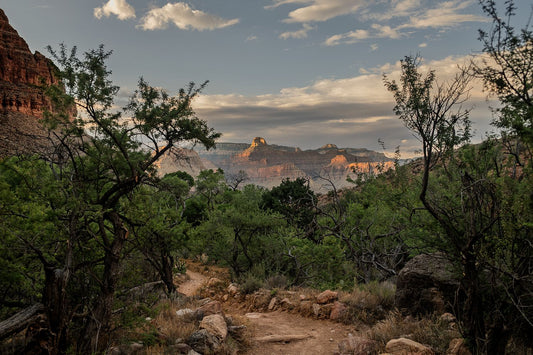 Grand Canyon #9