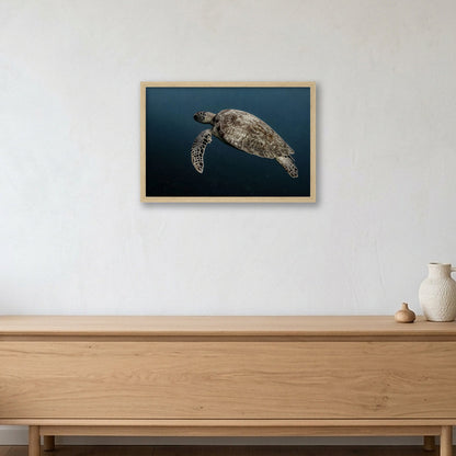 Animal Kingdom #1 — 45×30cm, 18×12" Oak Frame