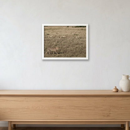 Animal Kingdom #5 — 40×30cm, 16×12" White Frame