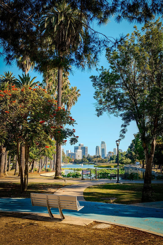 Los Angeles #8