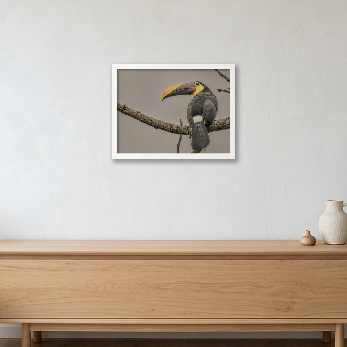 Animal Kingdom #13 — 40×30cm, 16×12" White Frame
