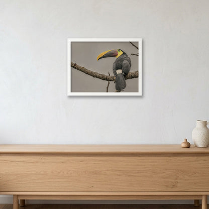 Animal Kingdom #13 — 40×30cm, 16×12" White Frame