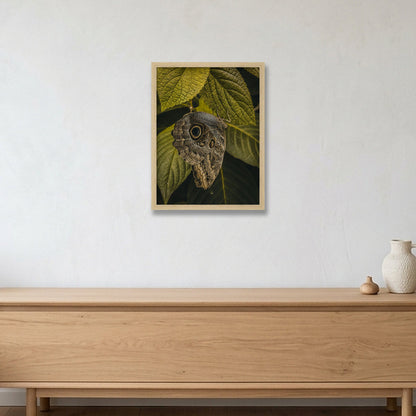 Animal Kingdom #17 — 30×40cm, 12×16" Oak Frame
