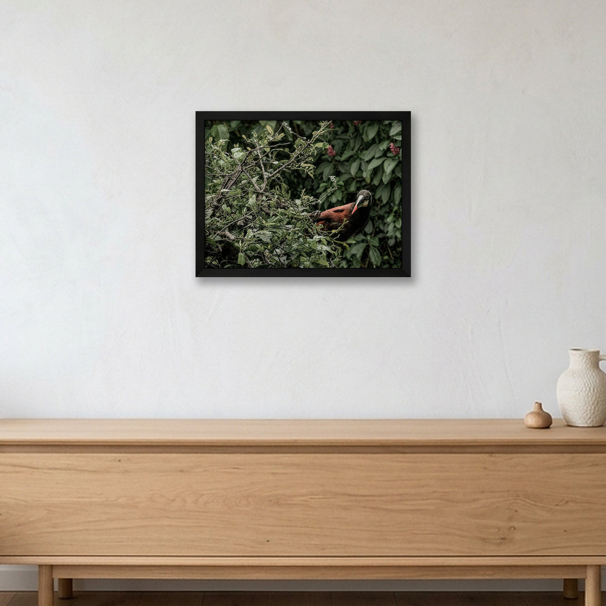 Animal Kingdom #12 — 40×30cm, 16×12" Black Frame