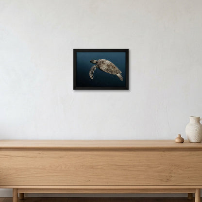 Animal Kingdom #1 — A4 (30×21cm, 12×8") Black Frame