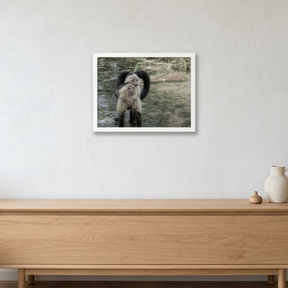 Animal Kingdom #9 — 40×30cm, 16×12" White Frame