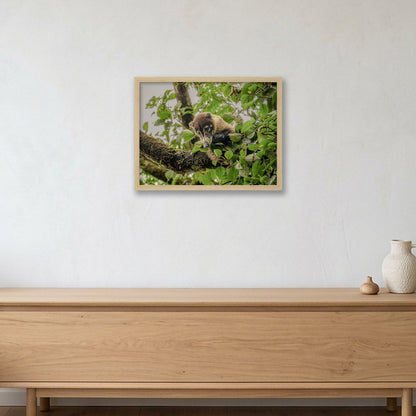 Animal Kingdom #14 — 40×30cm, 16×12" Oak Frame