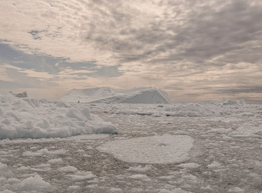Disko Bay #12