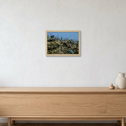 Animal Kingdom #16 — A4 (30×21cm, 12×8") Oak Frame