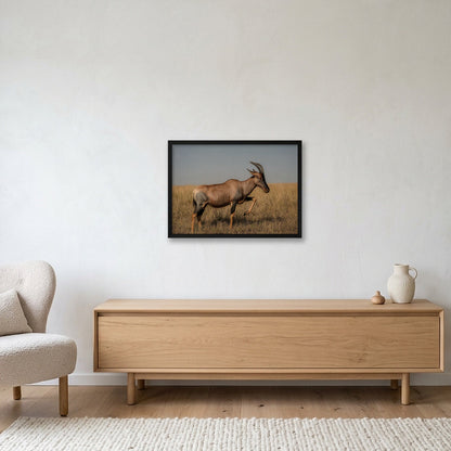 Animal Kingdom #3 — 59×42cm, 23×17" Black Frame