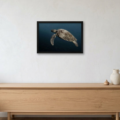 Animal Kingdom #1 — 45×30cm, 18×12" Black Frame