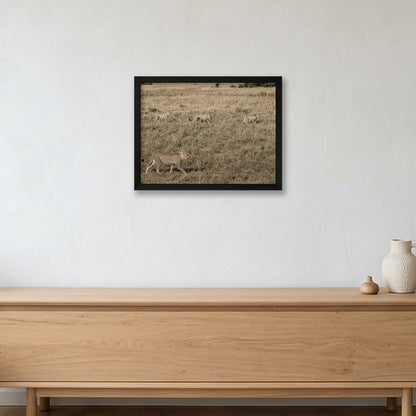 Animal Kingdom #5 — 40×30cm, 16×12" Black Frame