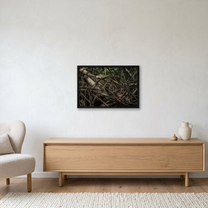 Animal Kingdom #2 — 60×40cm, 24×16" Black Frame
