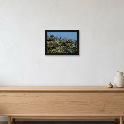 Animal Kingdom #16 — A4 (30×21cm, 12×8") Black Frame