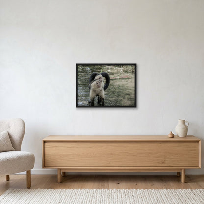 Animal Kingdom #9 — 59×42cm, 23×17" Black Frame