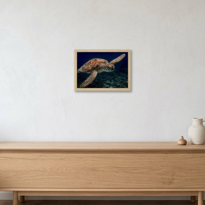 Animal Kingdom #4 — A4 (30×21cm, 12×8") Oak Frame