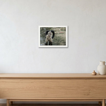 Animal Kingdom #9 — A4 (30×21cm, 12×8") White Frame