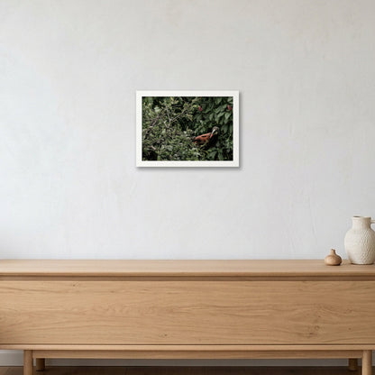Animal Kingdom #12 — A4 (30×21cm, 12×8") White Frame