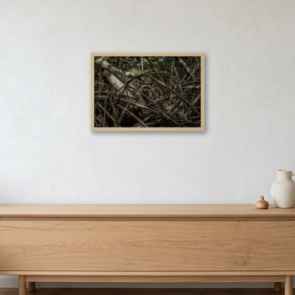 Animal Kingdom #2 — 45×30cm, 18×12" Oak Frame
