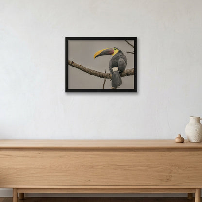 Animal Kingdom #13 — 40×30cm, 16×12" Black Frame