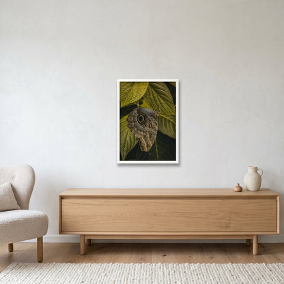 Animal Kingdom #17 — 42×59cm, 17×23" White Frame